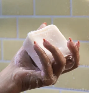 Shampoo and Conditioner Bars - sudsy
